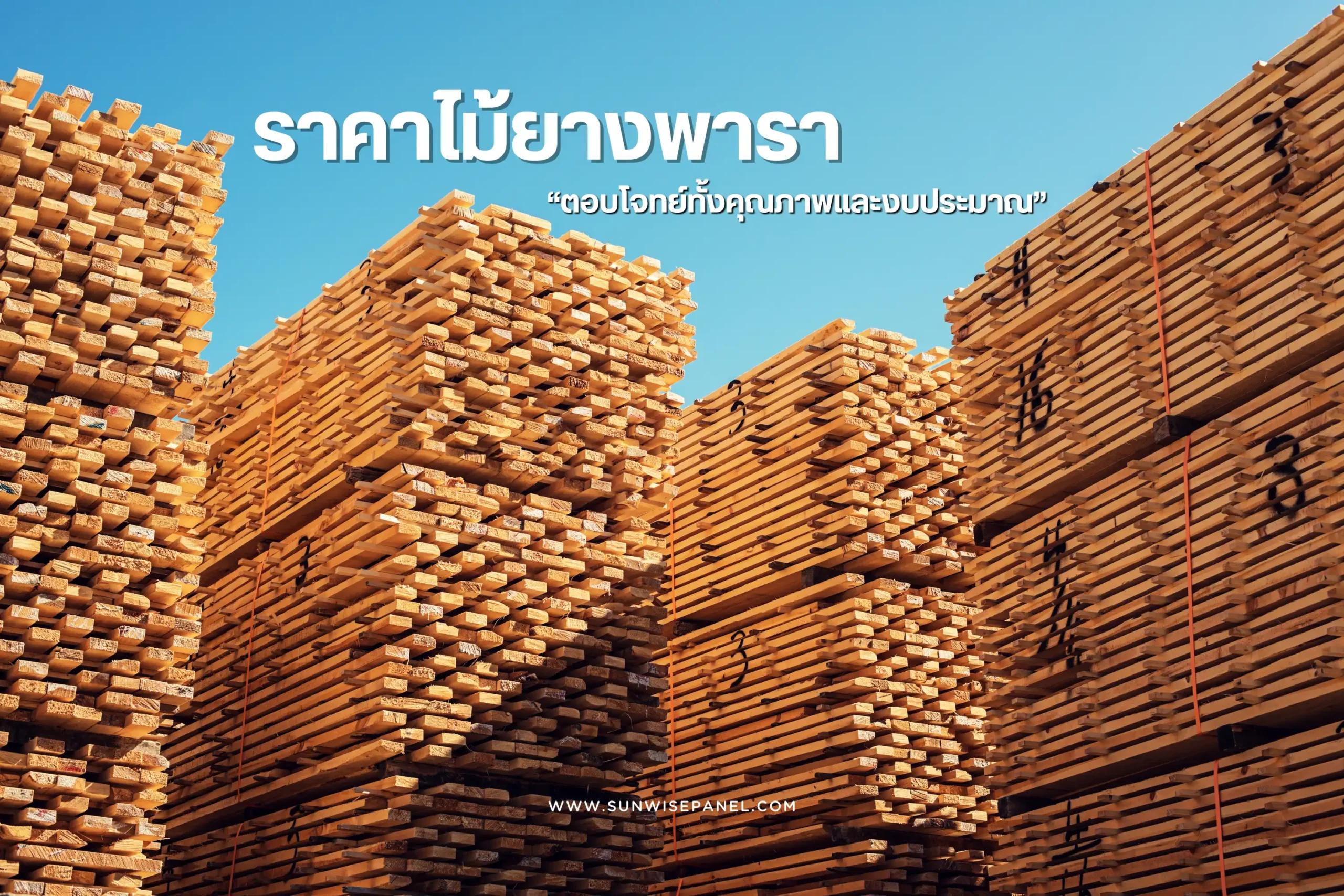 ราคาไม้ยางพารา ปัจจัยที่ส่งผลและวิธีเลือกซื้อให้คุ้มค่า 1 ราคาไม้ยางพารา